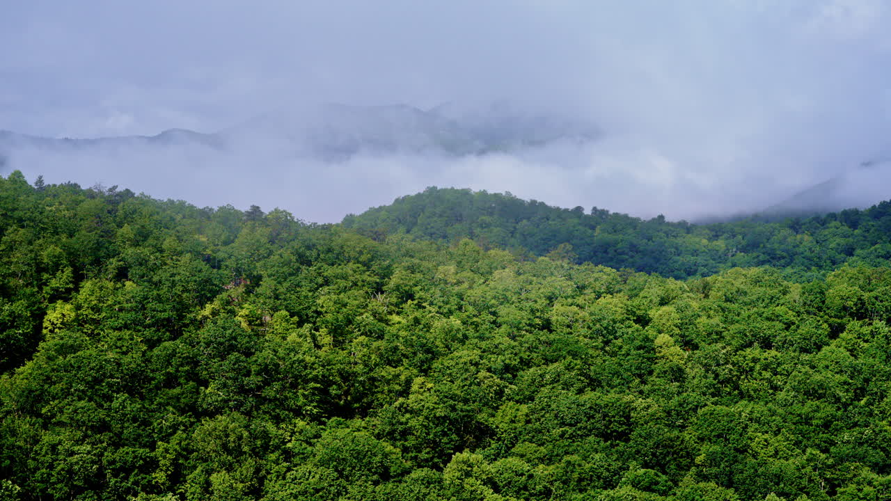 ยอดเขา Smoky Mountain ที่ปกคลุมไปด้วยหมอกลอยละล่อง ถ่ายทำโดยโดรน