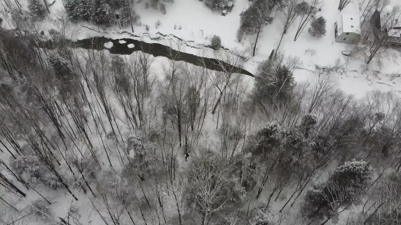 Bald Eagle Soaring Through Snowy Forest Near River Amidst Snowfall In Sherbrooke, Quebec, Canada. aerial tracking shot