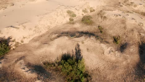 aerial view of a desert, sand dunes. texture of the surface of desert nature