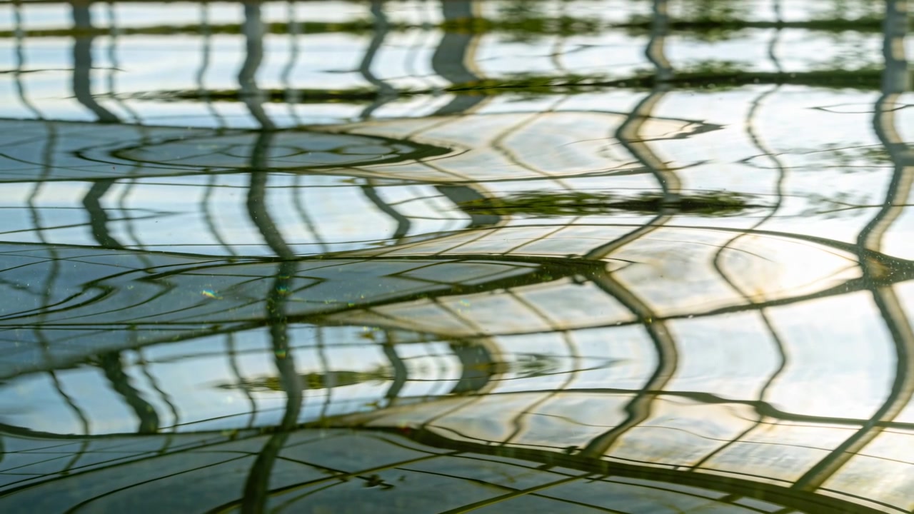 Mostrando la superficie dell'acqua in piscina che riflette una griglia sovrastante, con increspature che si diffondono da uno spostamento di luce.
