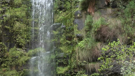 a tall waterfall spills down a cliff in a tropical jungle