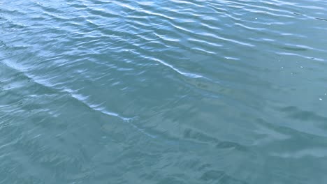 gentle ripples on a serene blue water surface