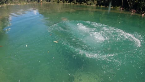 Slo-mo:-Young-man-dives-into-green-forest-river-at-Semuc-Champey,-GTM