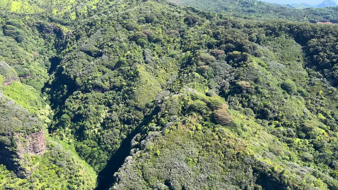colinas en kauai, muy verdes
