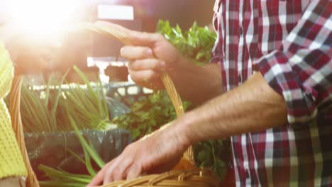 happy couple buying vegetables in organic section of supermarket