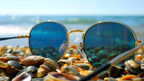 gafas de sol dejadas en la playa de las conchas, centrarse en las conchas.