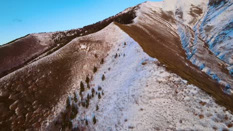 Excelente-Toma-Aérea-De-Una-Cadena-Montañosa-Marrón-E-Invernal-Salpicada-De-Pinos