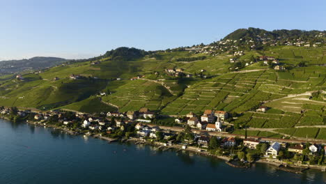 sunny sunset at the village of villette in vaud, switzerland with lush green vineyards of lavaux in summer