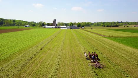 un'incredibile aerea di contadini amish che si prendono cura dei loro campi con cavallo e aratro 1