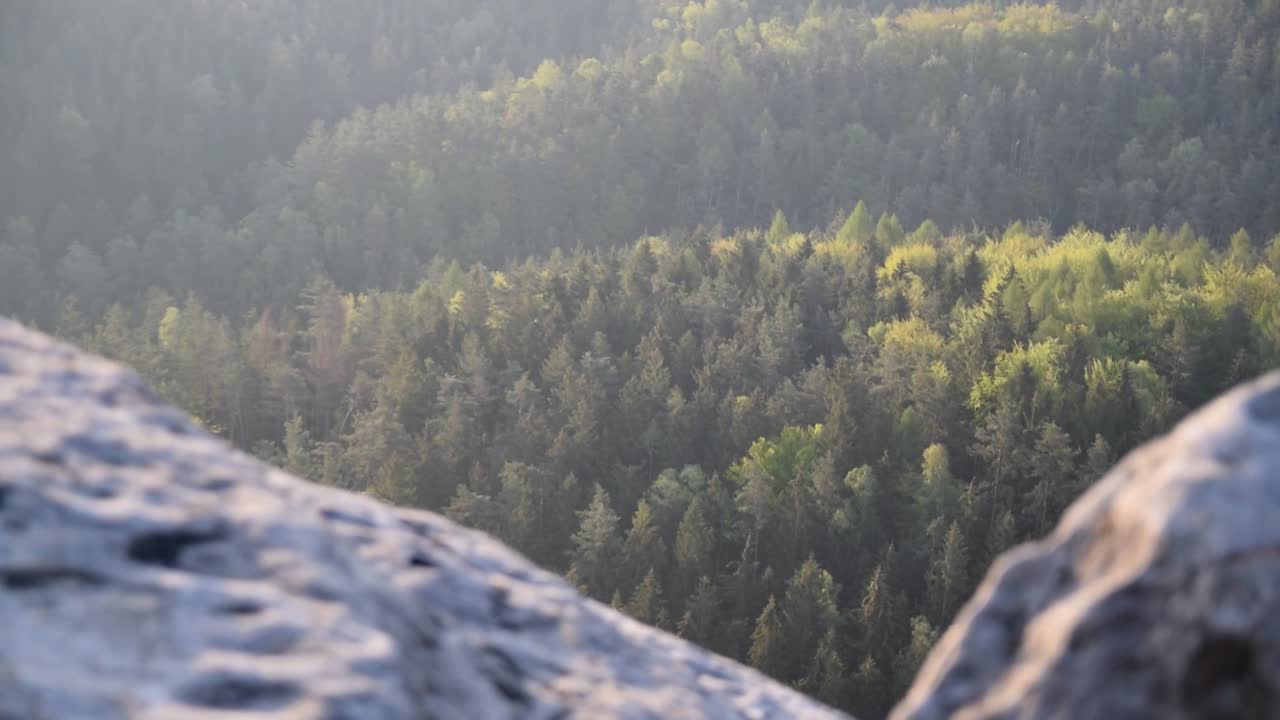 Forest from above with rocks in the foreground close up