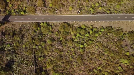 Car-driving-on-asphalt-road-on-unique-landscape-of-Tenerife-island,-aerial