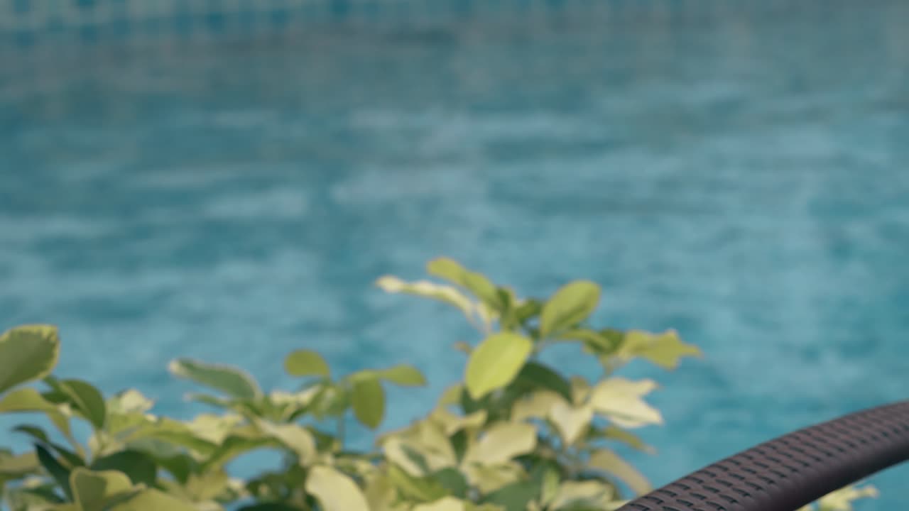 여자 는 분홍색 수박 음료 를  ⁇ 고 있는 높은 잔 을 들고 있다