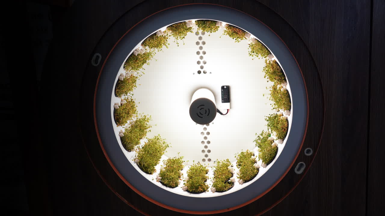 Circular Hydroponic Garden Display
