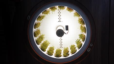 circular hydroponic garden display