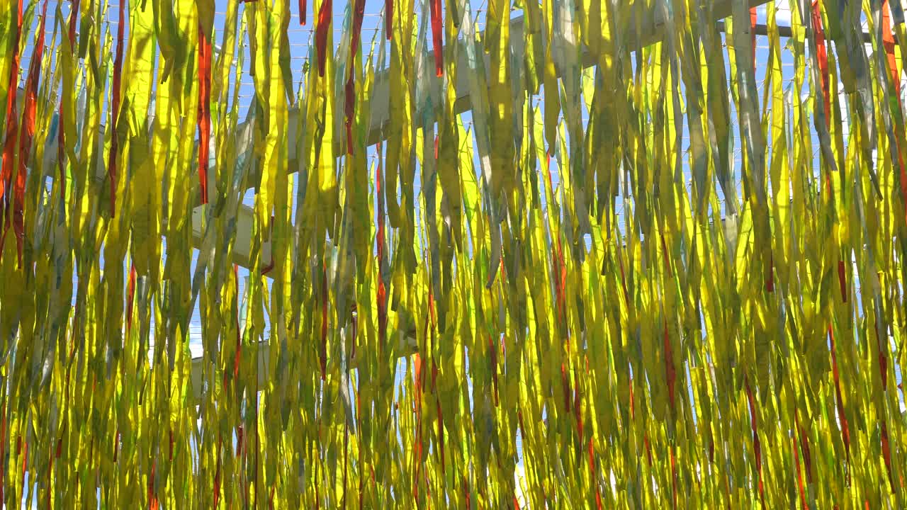 바람의 영향으로 빨간색과 노란색이 놀라운 예술 작품을 만듭니다.