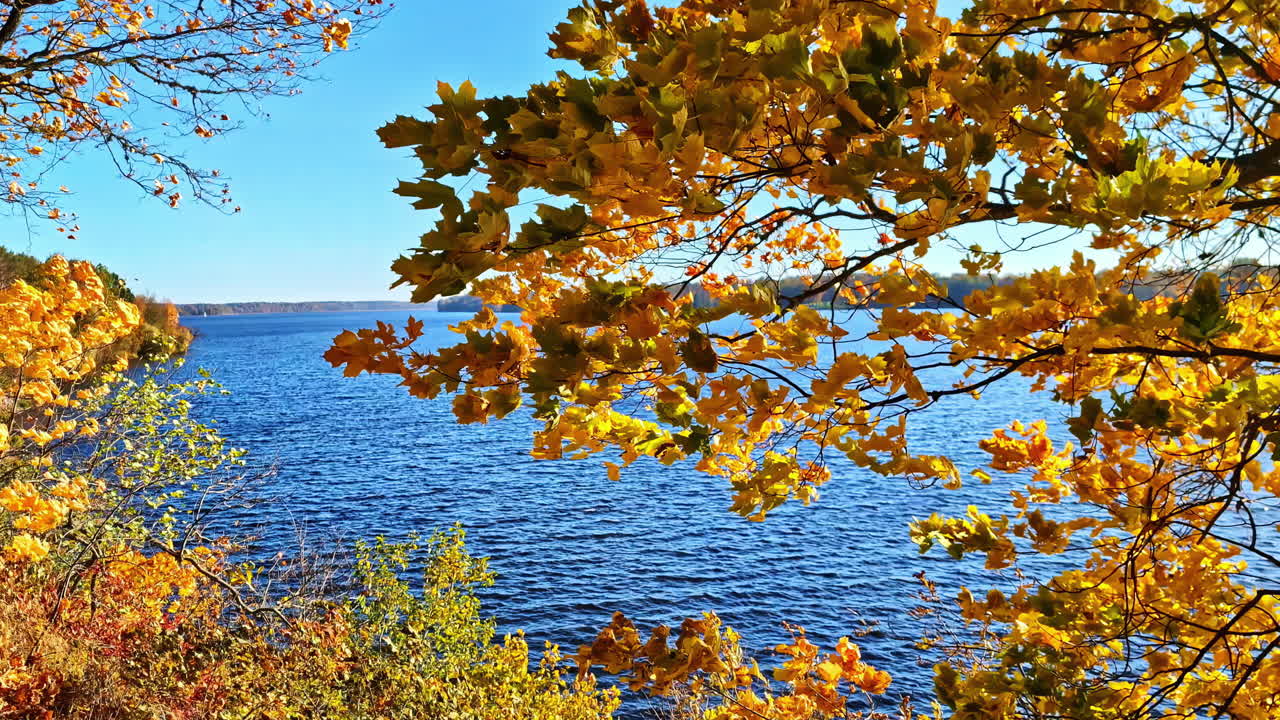 Autumn view of girl by Lielvarde lake, surrounded by fall foliage