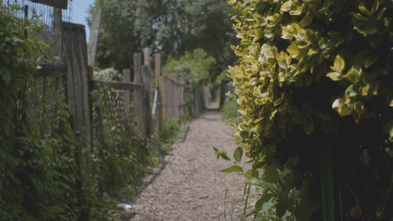 Beautiful pathway at the Fenway Public Gardens