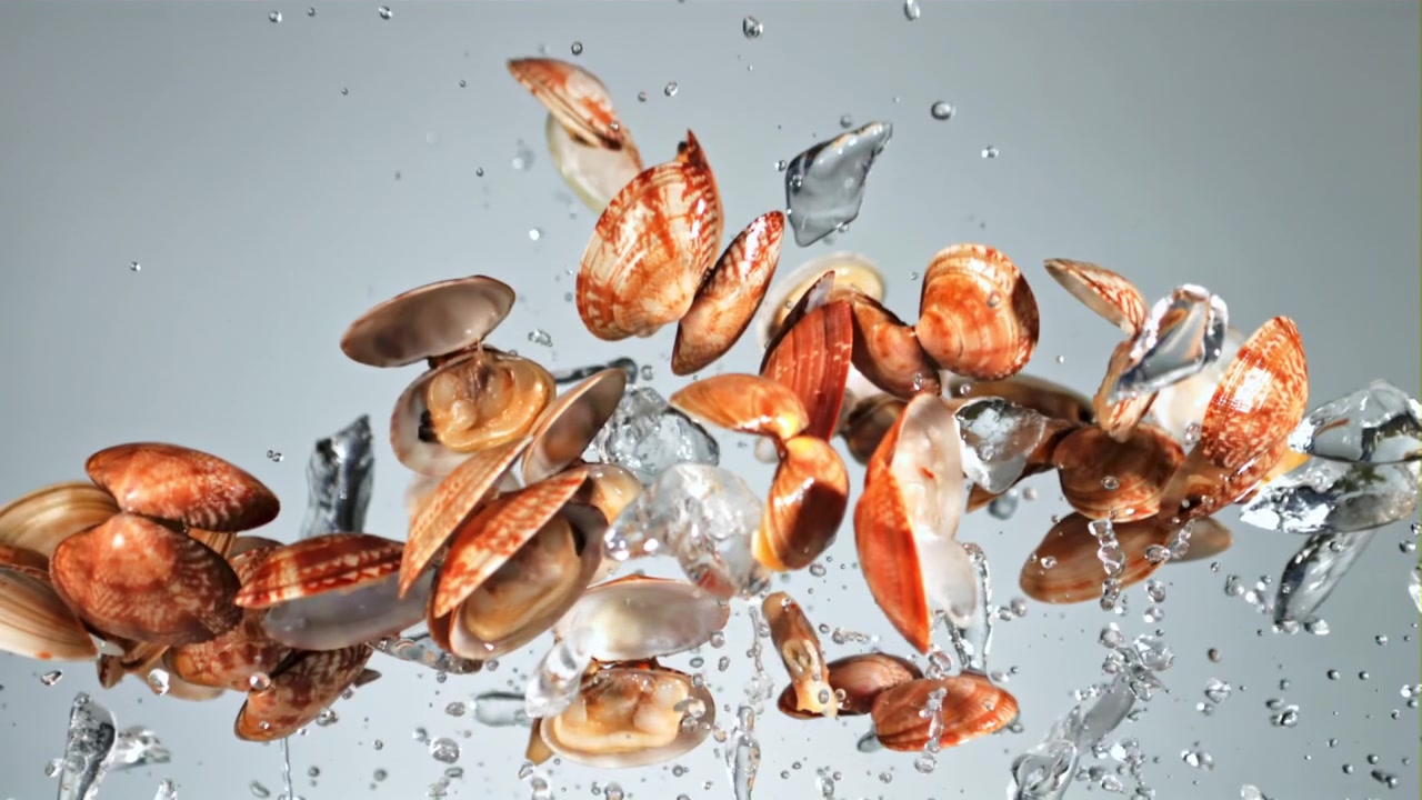 Fresh Clams and Ice Cubes Splashing with Water in Slow Motion