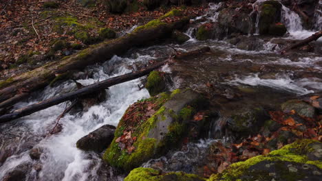 Wasser-Kaskadiert-über-Moosbedeckte-Felsen-Und-Umgestürzte-Bäume-Am-Falls-Creek-Im-Chugach-State-Park-Im-Spätherbst-In-Der-Nähe-Von-Anchorage-Alaska