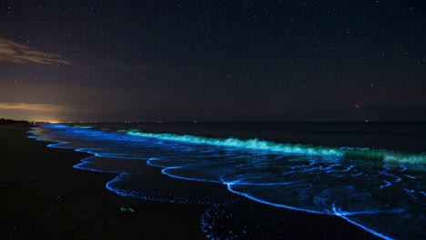 luminescent waves: a stunning display of bioluminescence on a starry night beach, captured in two frames showcasing nature's mesmerizing glow