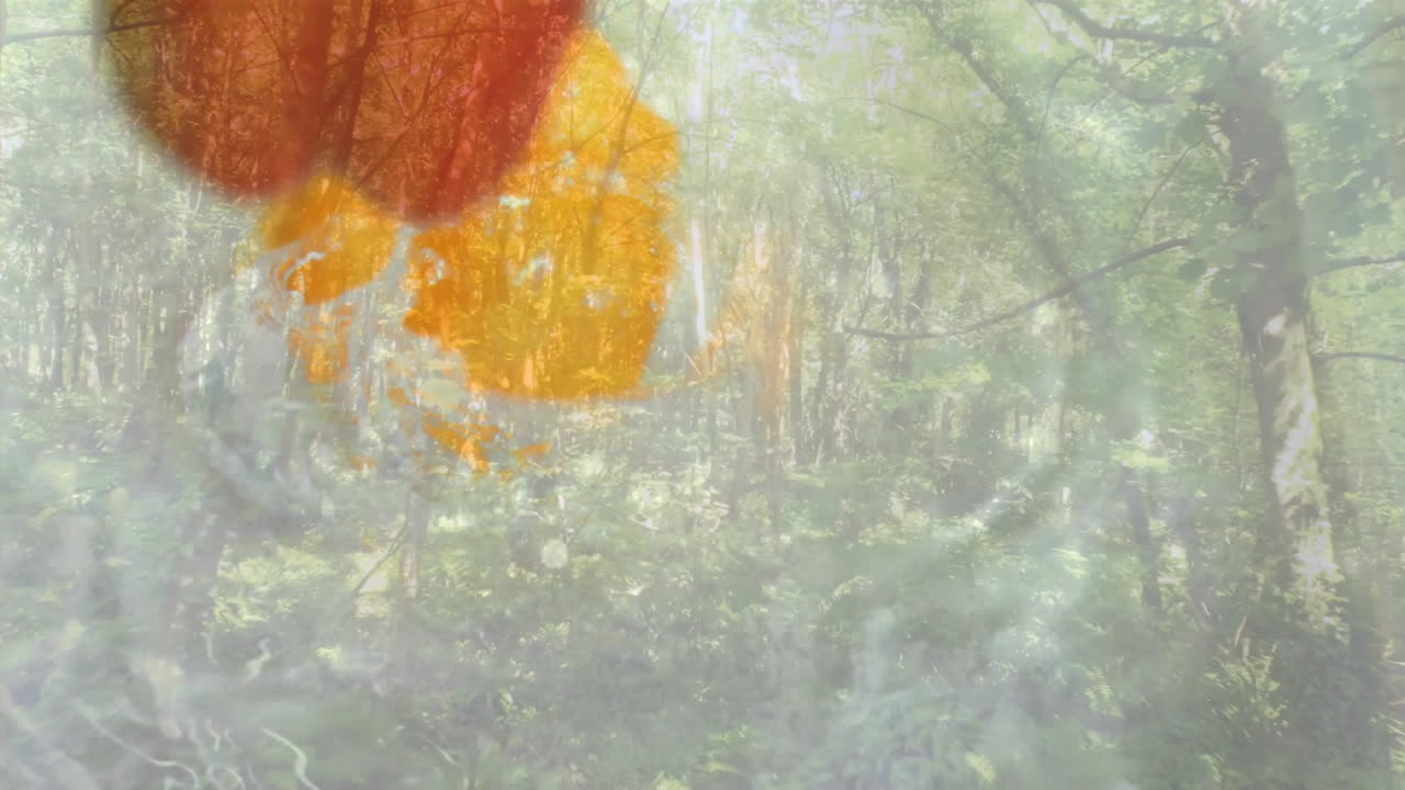 Animation of abstract orange shapes floating over serene forest landscape