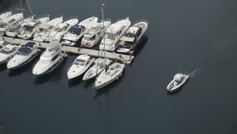 luxury yachts and boats in a marina