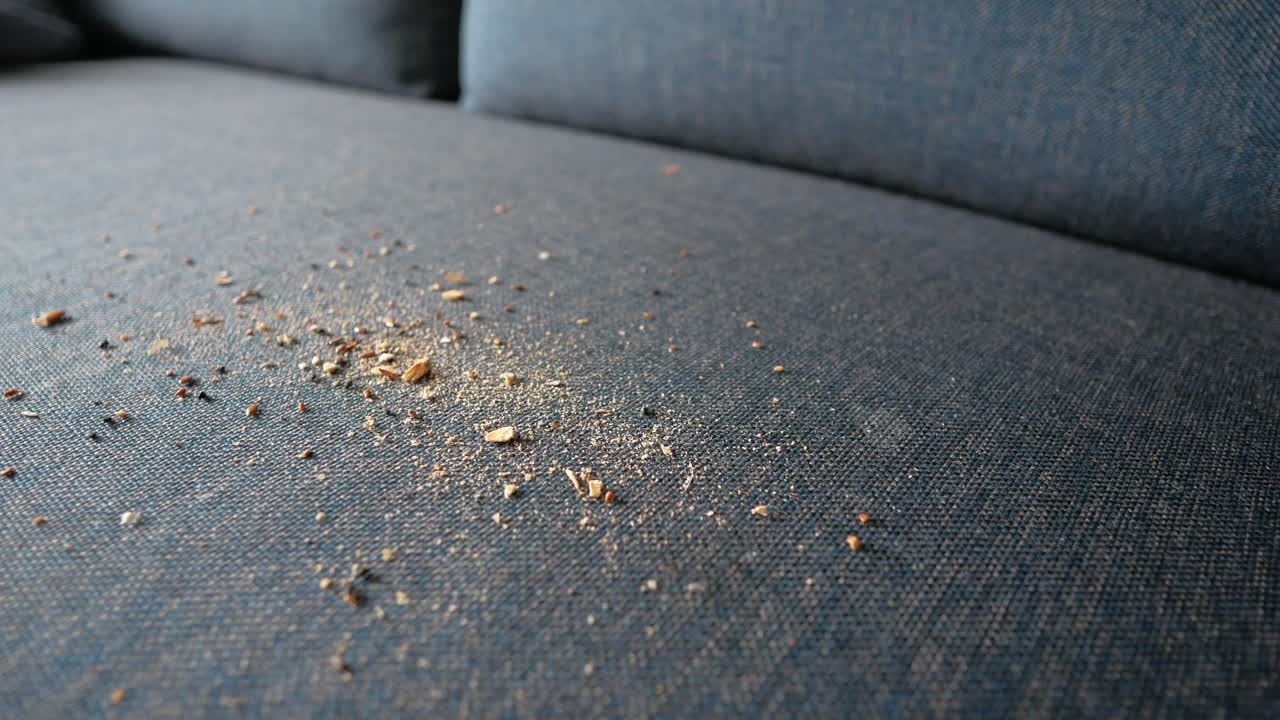 소파에 있는 어리