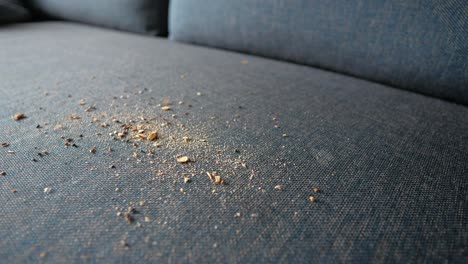 crumbs on sofa
