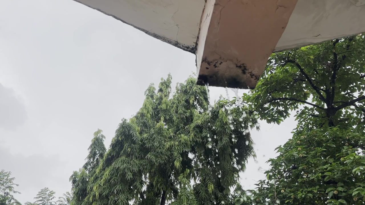 Regn som droppar från en väderbiten betongbalk med frodiga gröna träd synliga under en mulen monsunhimmel.