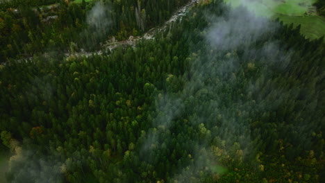 Aerial-4k-shot-of-dense-dark-green-forest,-pathway-and-rocky-banks-of-mountain-river