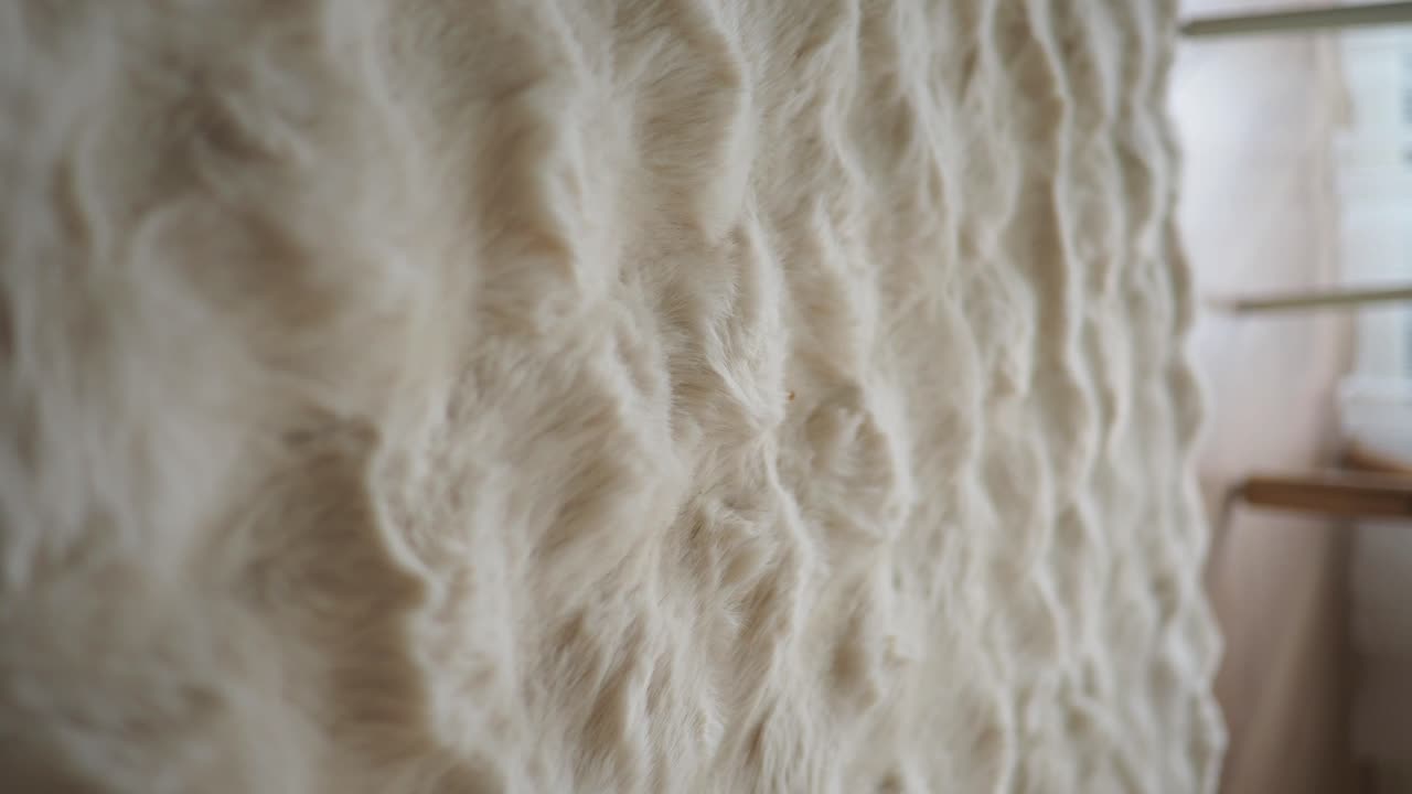 Close-up of White Animal Fur Texture