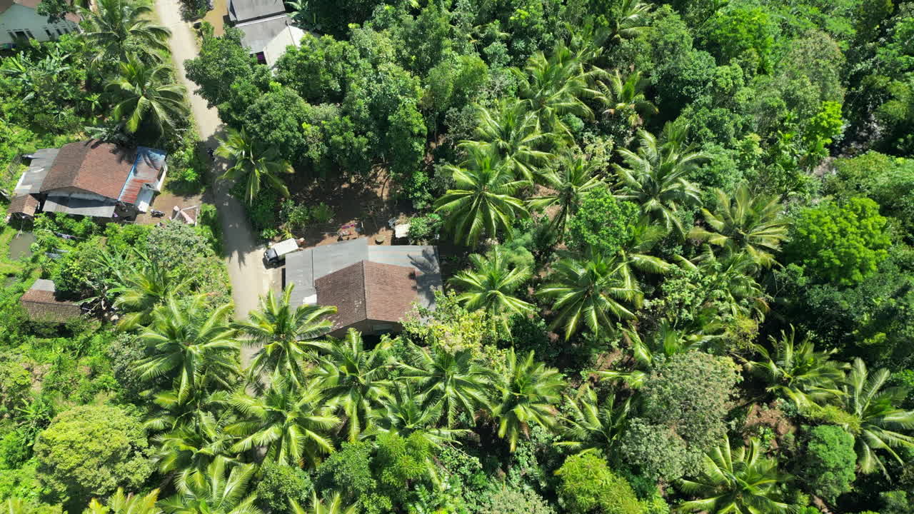 동자바의 banyuwangi에 숨겨진 산 마을을 추적하는 오른쪽 판