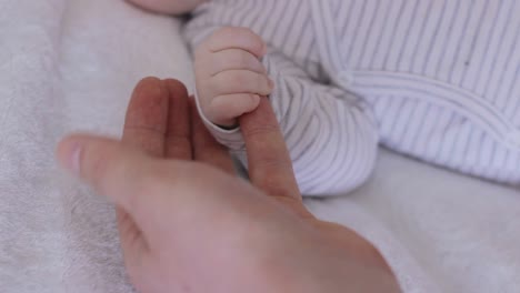 bebé recién nacido manos blancas tocando con manos adultas masculinas, alcanzando la mano del padre, sosteniendo a los padres, cierre estático
