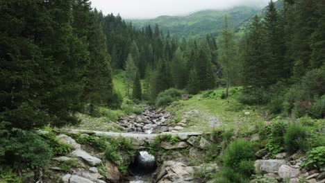 alpine stream located in sölktäler mountain, styria, austria from drone