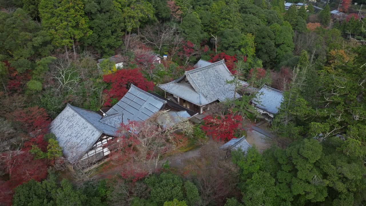 Japanese Aerial fly Jingoji and Kozanji Temples Landscape of Heian Period autumn colorful forest of Takao