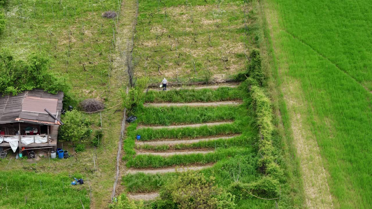 A drone slowly orbits above terraced fields as a farmer tends uphill crops, capturing the rhythm of rural hillside agriculture amid lush greenery