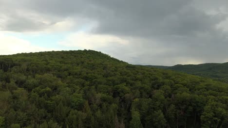 drone rising over forest on stormy threatening day in hot humid summer