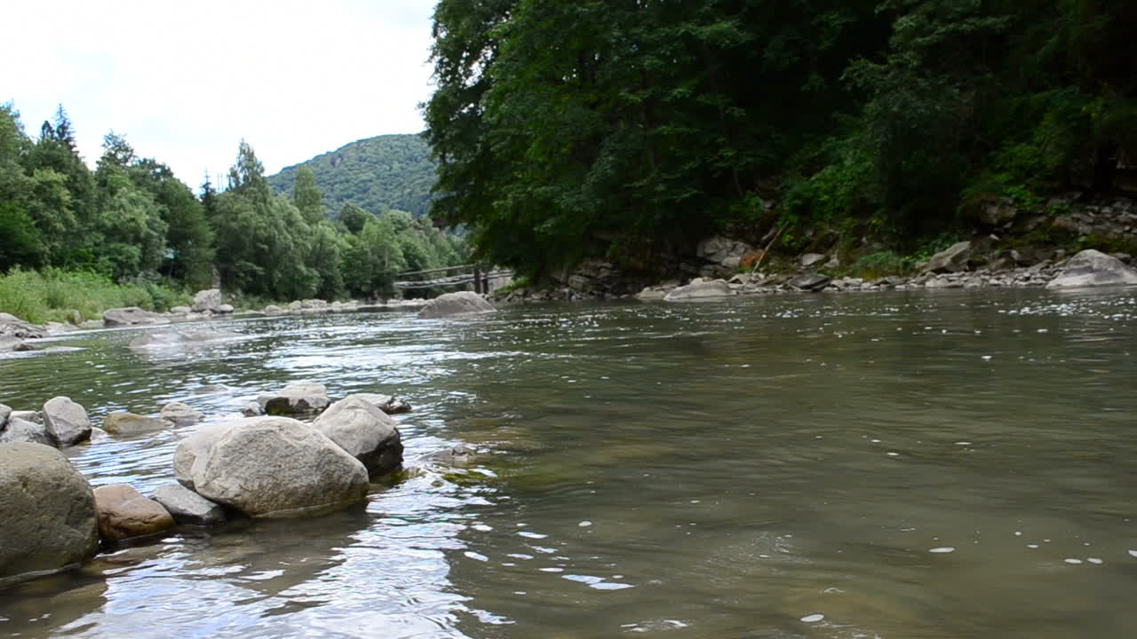 Inquadratura di un fiume di montagna nella foresta. Sassi e acqua.