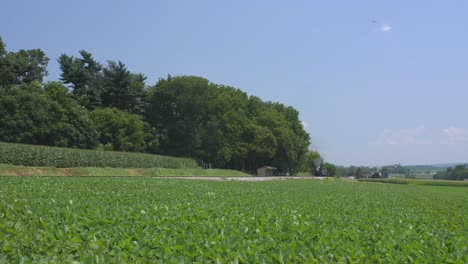 a 1924 steam engine with passenger train puffing smoke traveling along the amish countryside on a summer day