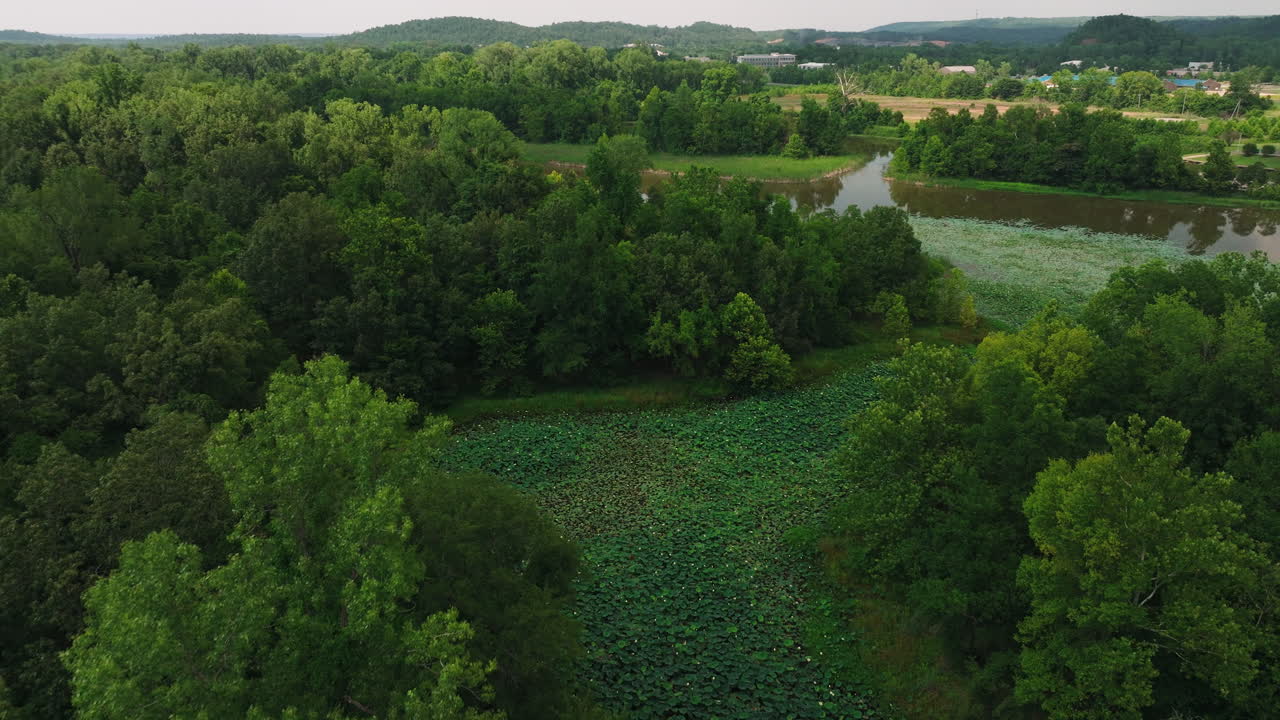 Cook's landing park peaceful scenery seen from flying aerial drone, backwards