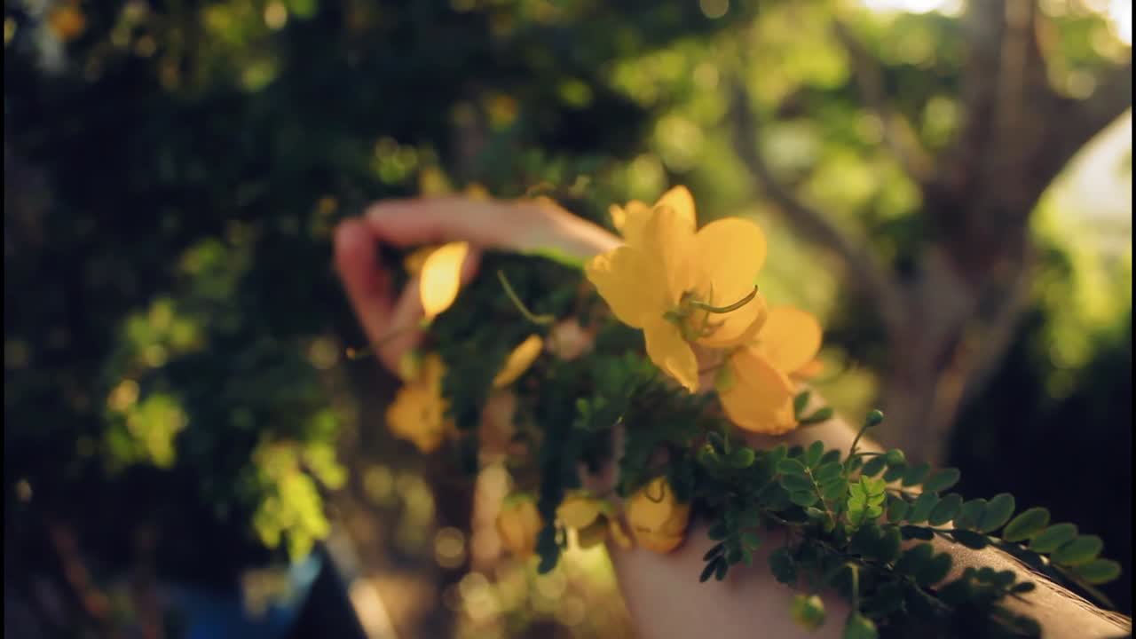 mano con una flor amarilla