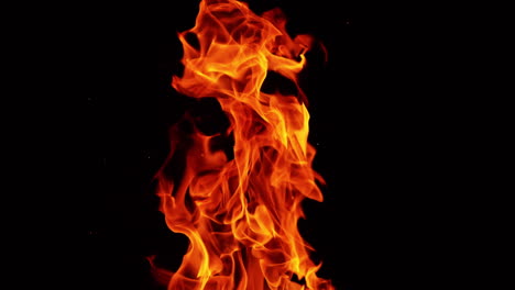 long fire flame rising up. burning bonfire in the darkness isolated close up.