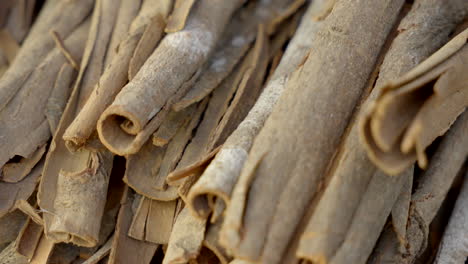 cinnamon barks close-up, fragrant fresh cinnamon in twisted sticks