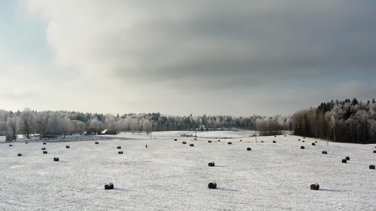 Aerial view of farmland in winter with hay rolls scattered across the snow-covered countryside, with the sun casting light over frosted trees and a forest in background. Farmhouse in a distance.