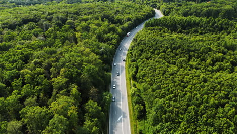 lush green winding road in europe. cars travel along a curvy road bordered by dense, vibrant trees during daylight in a serene european setting