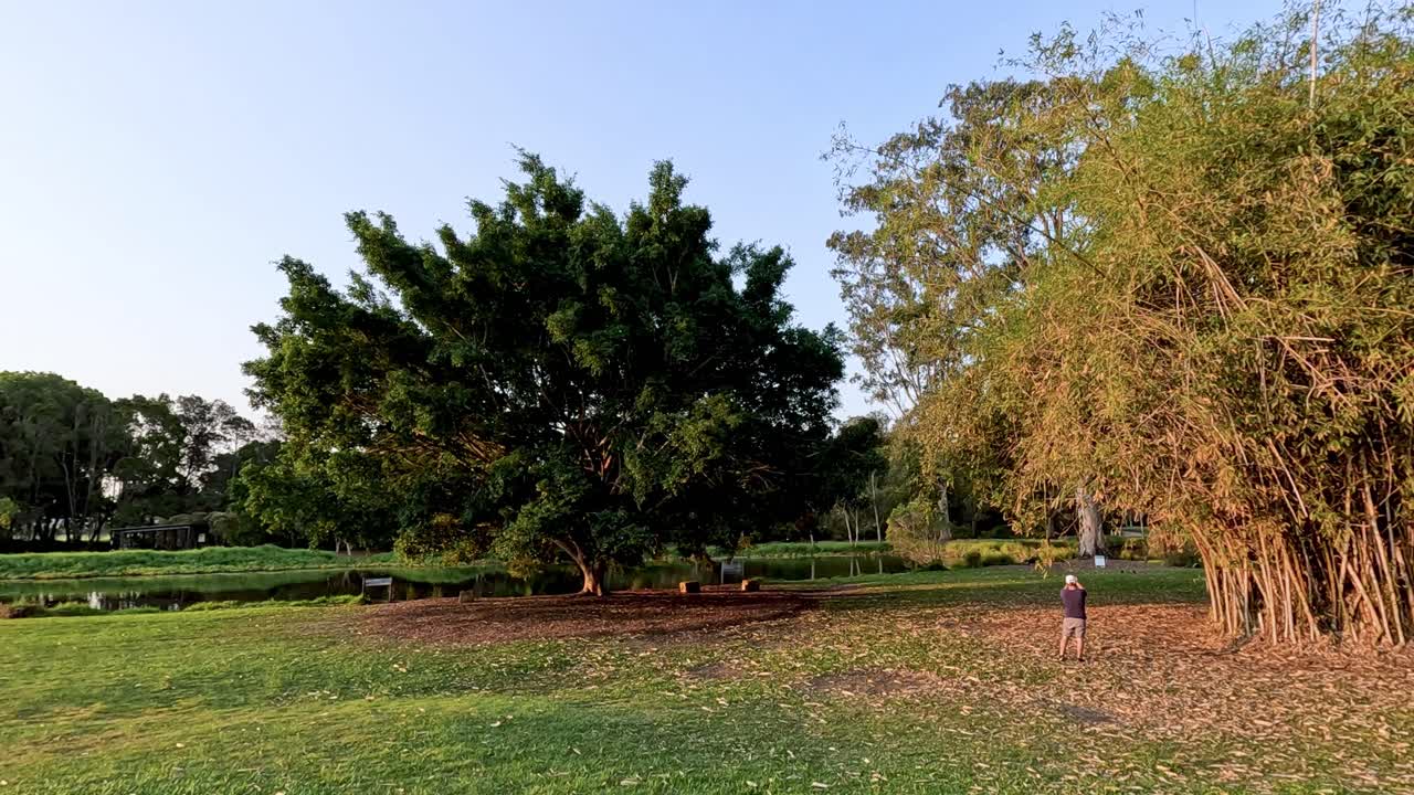 persona caminando a través de un exuberante jardín botánico