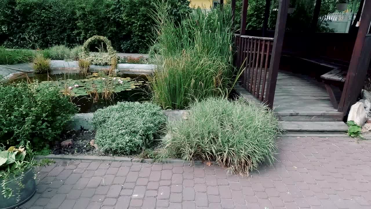 Mooie tuin met een vijver tussen bomen