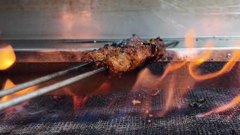 grilled meat skewers on a spit