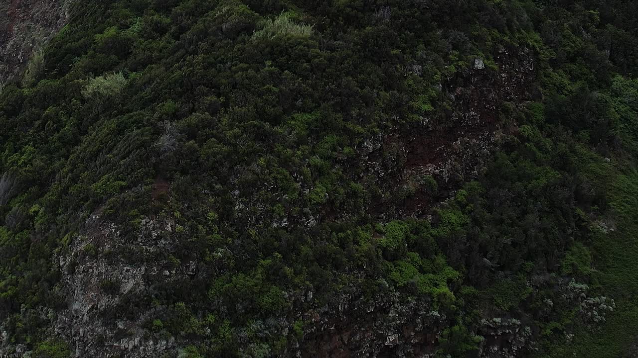 Drone view of lush cliffs in Madeira Portugal showcasing natural beauty