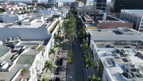 rodeo drive at beverly hills in los angeles united states